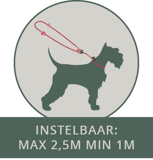 Frenky Lewis - Hands free leash - verstelbare leiband