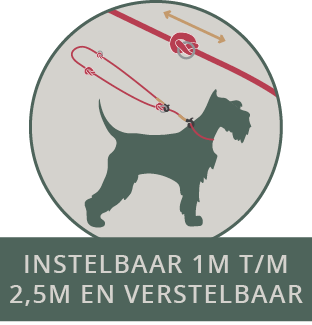 Frenky Lewis - Hands free leash - verstelbare leiband