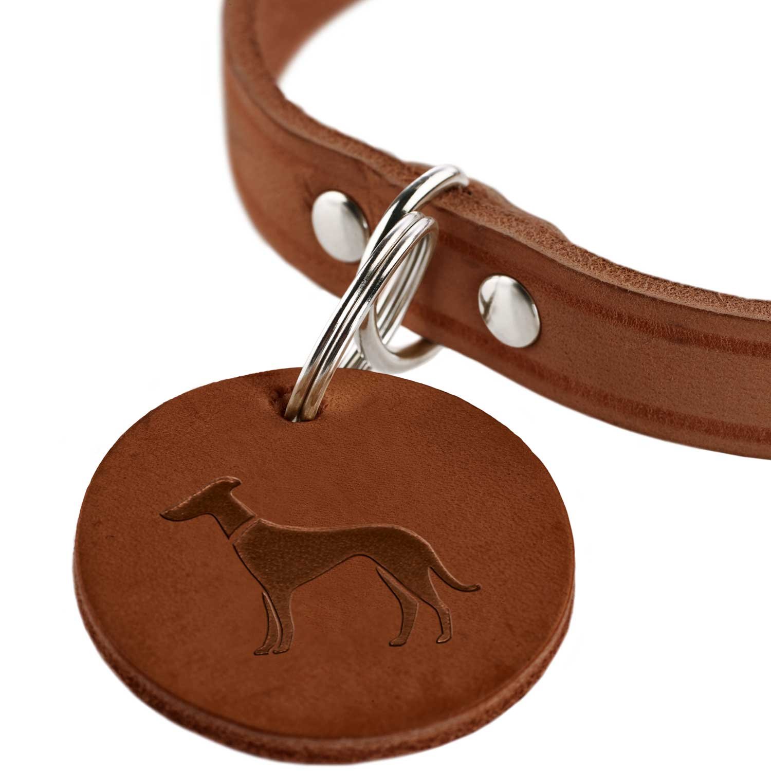 HUNTER - Aalborg - Collar