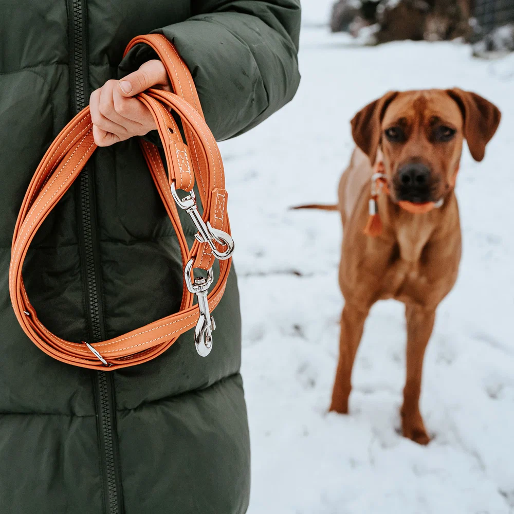 T-Leash Cannes 20/200 Cowleather orange