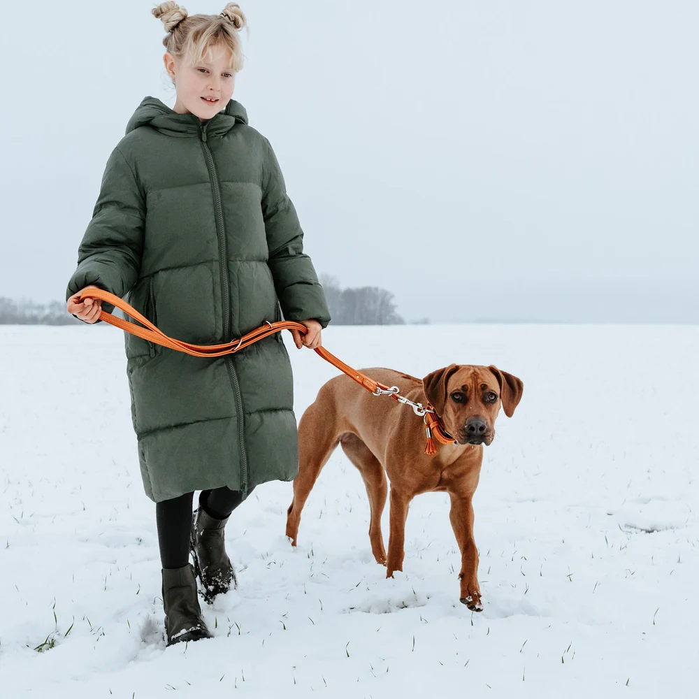T-Leash Cannes 20/200 Cowleather orange