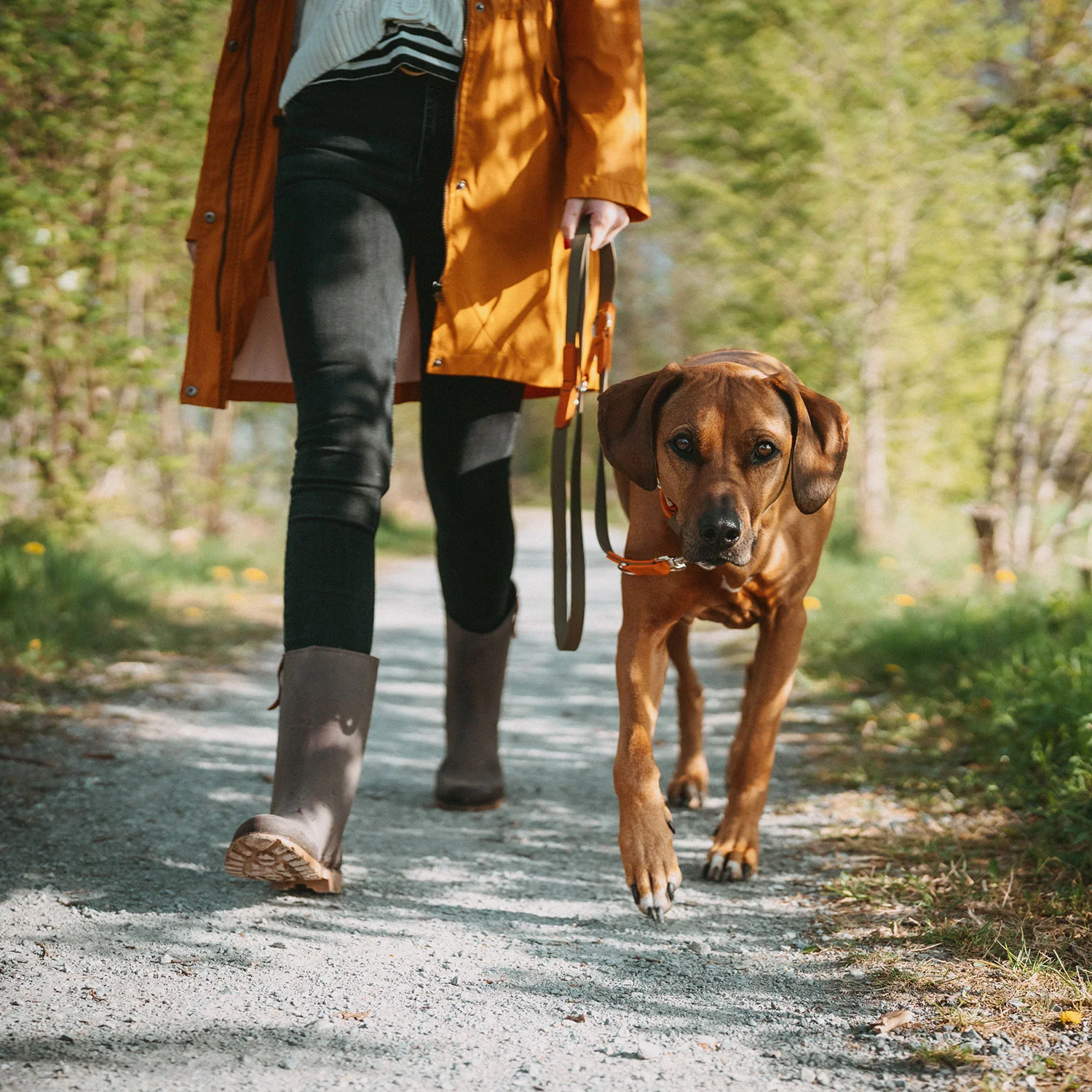 HUNTER - Collar Wolmar 55/M Biothane/Leather khaki/orange