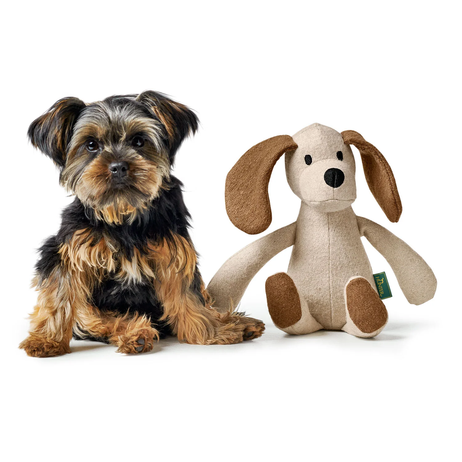 Toy Dog Marle