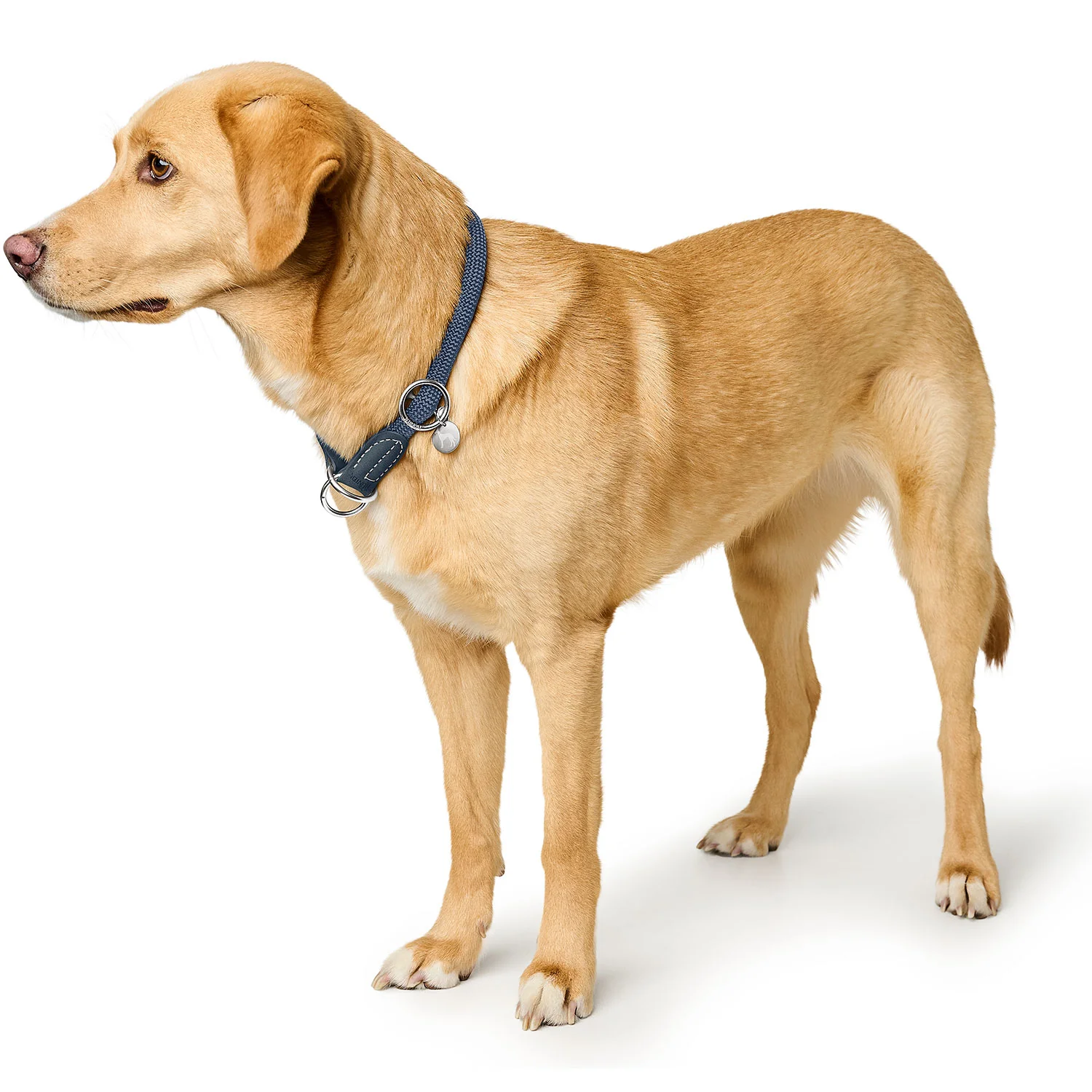 HUNTER - Malibu - Trainingshalsband