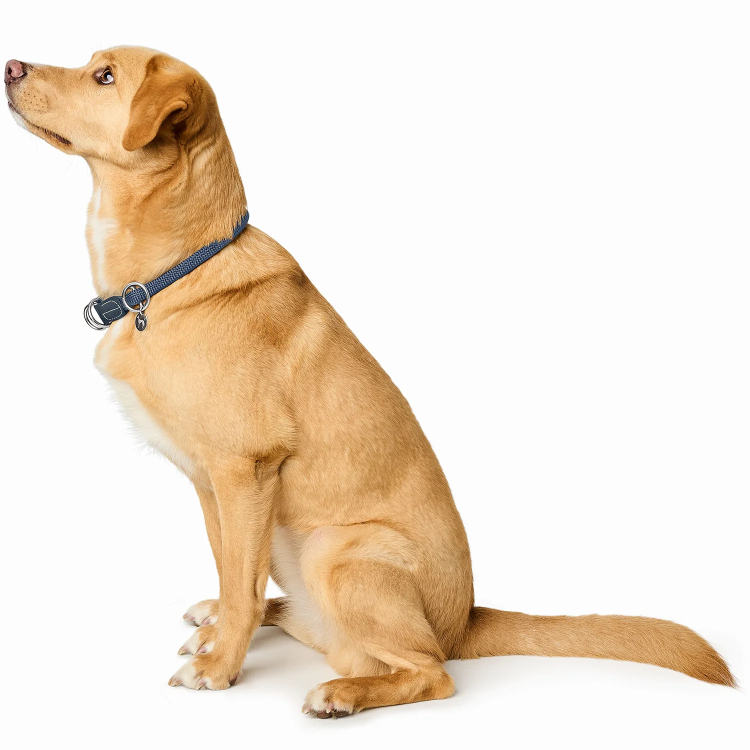 HUNTER - Malibu - Trainingshalsband
