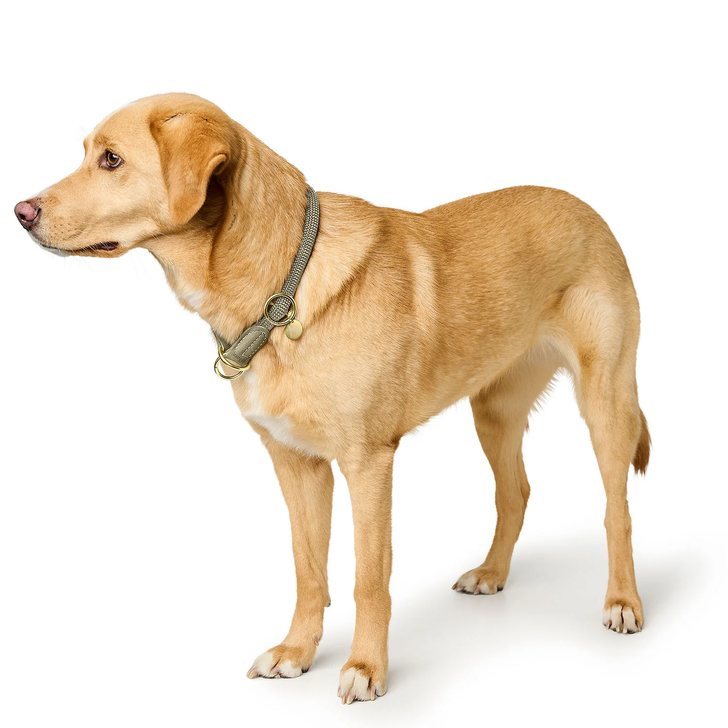 HUNTER - Malibu - Trainingshalsband