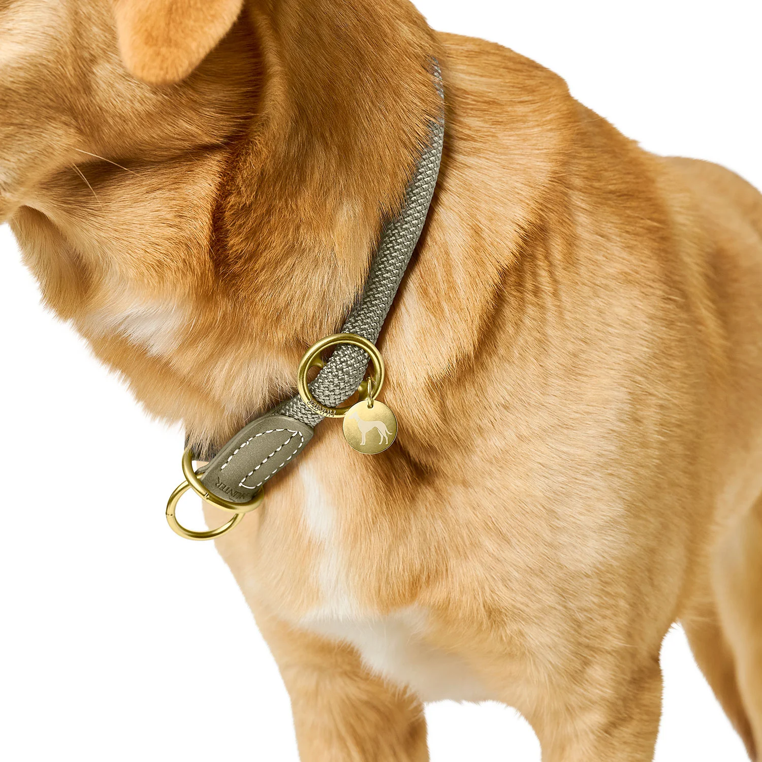HUNTER - Malibu - Trainingshalsband