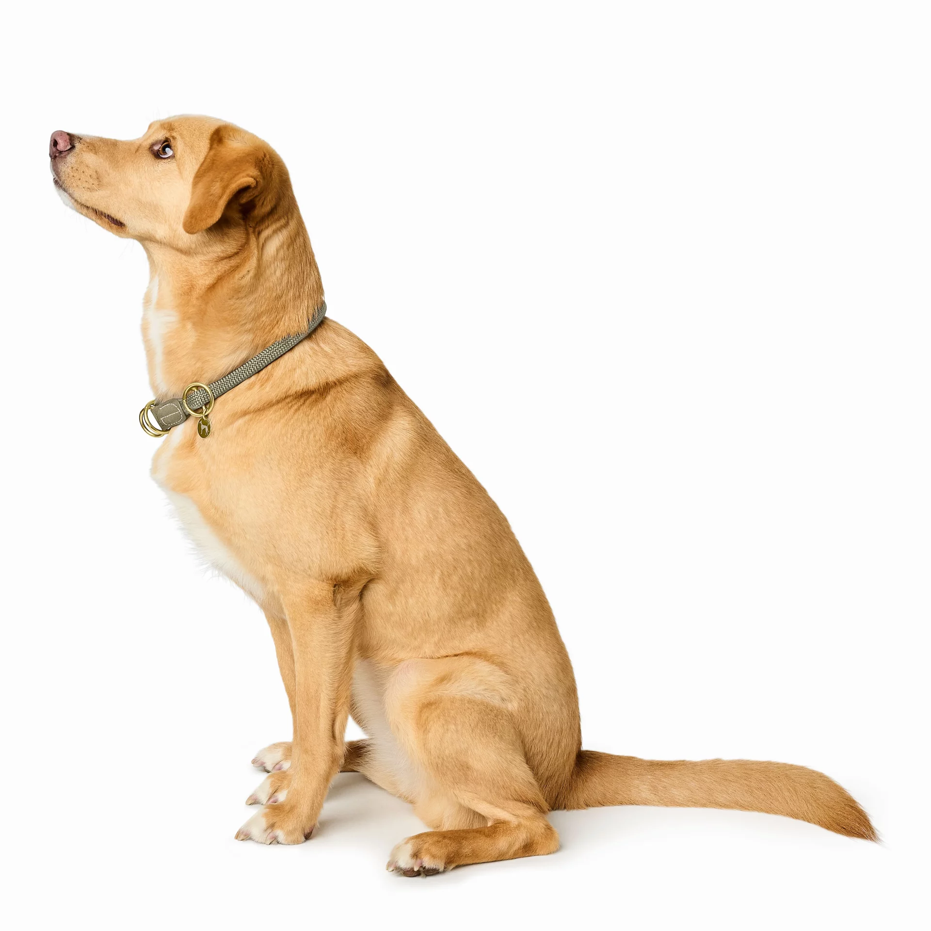 HUNTER - Malibu - Trainingshalsband