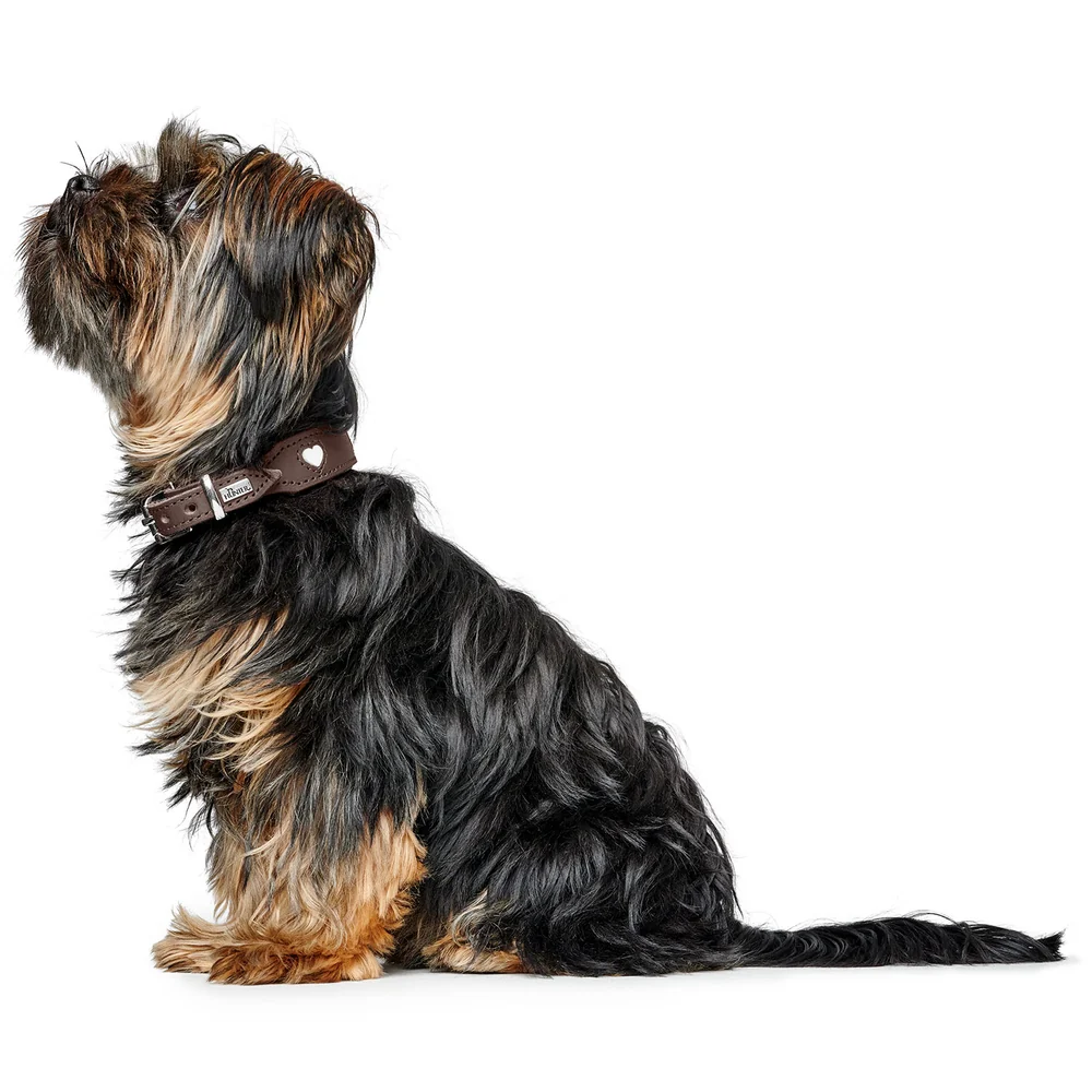 HUNTER - Love - Collar