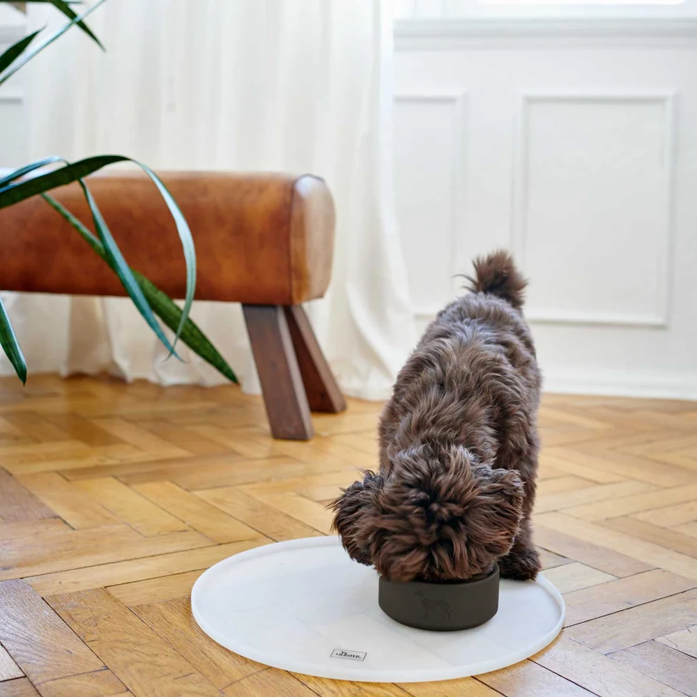 HUNTER - Osby Food Bowl