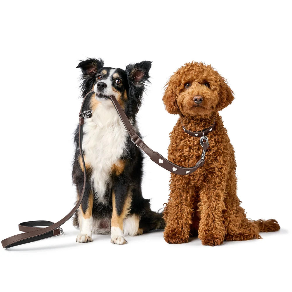 HUNTER - Love - Leash xtra long