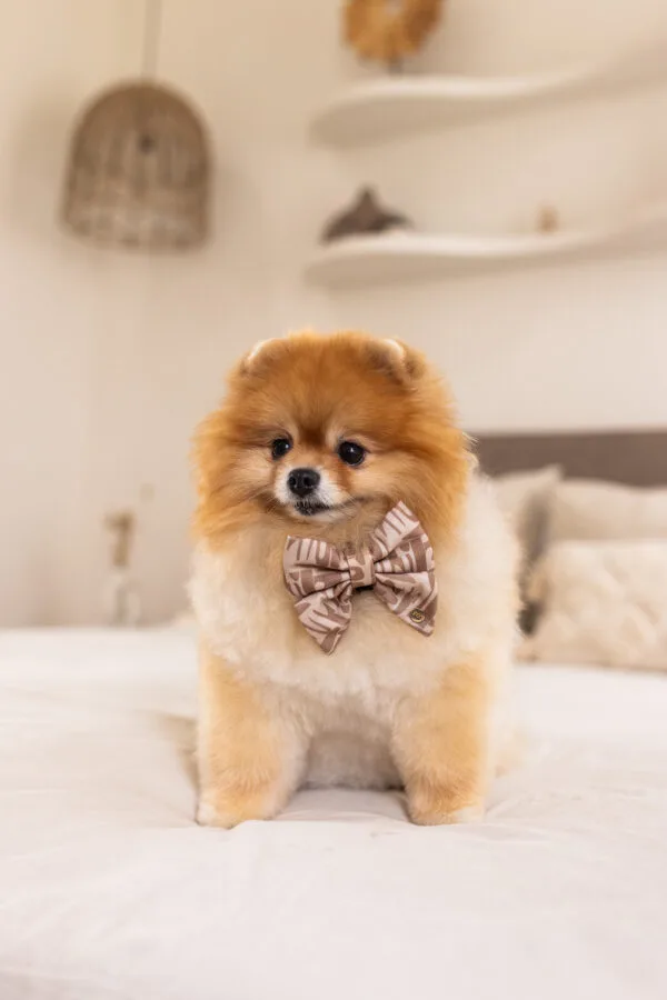 Mauve Bow Tie Sailor