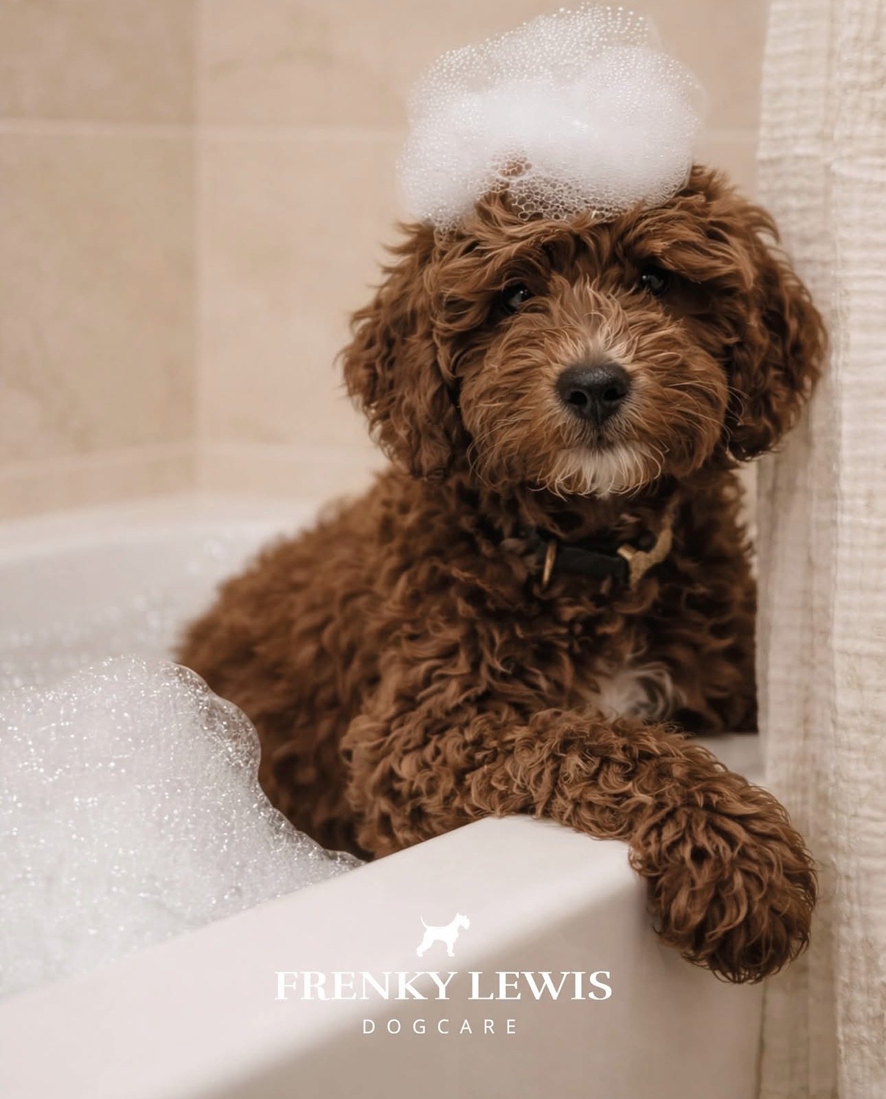 Frenky Lewis Shampoo