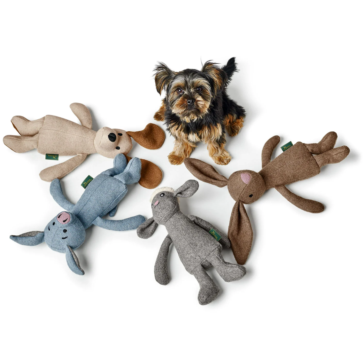 Toy Dog Marle
