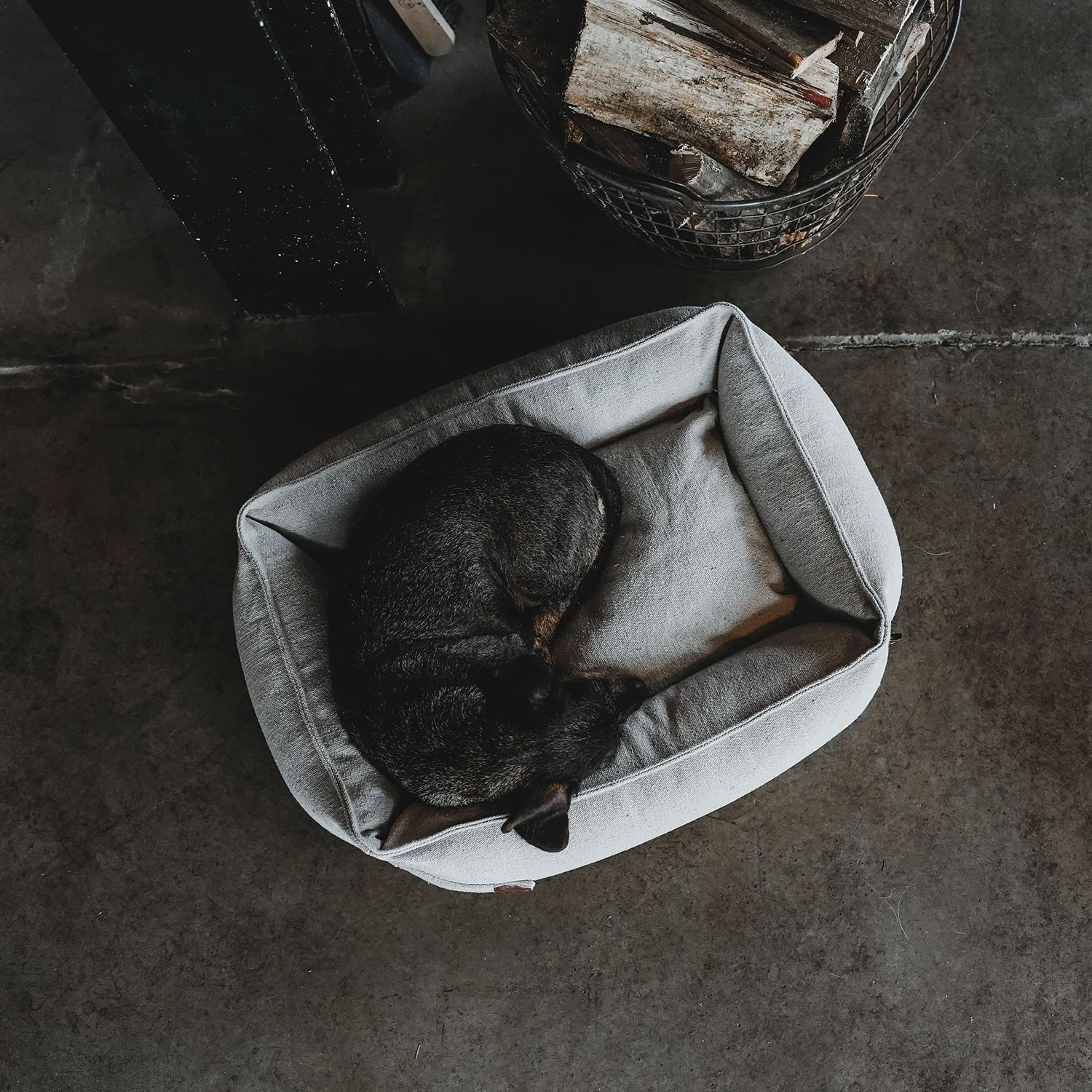 HUNTER - Recycling Hondenbank Belluno