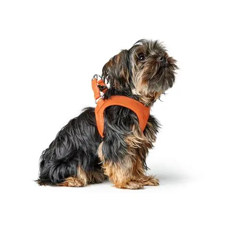 HUNTER - Hilo - Harnassen Rundsleder
