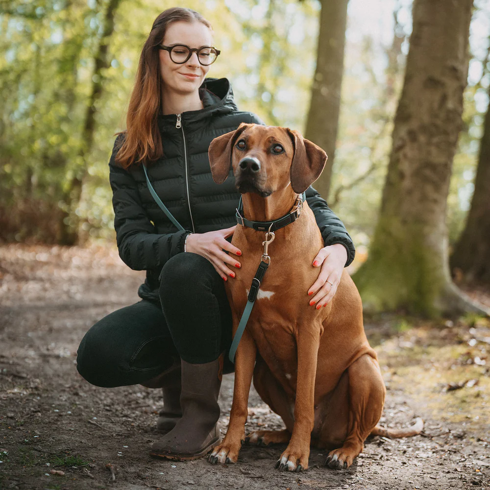 HUNTER - Wolmar AluStrong - Biothane x leder - Collars