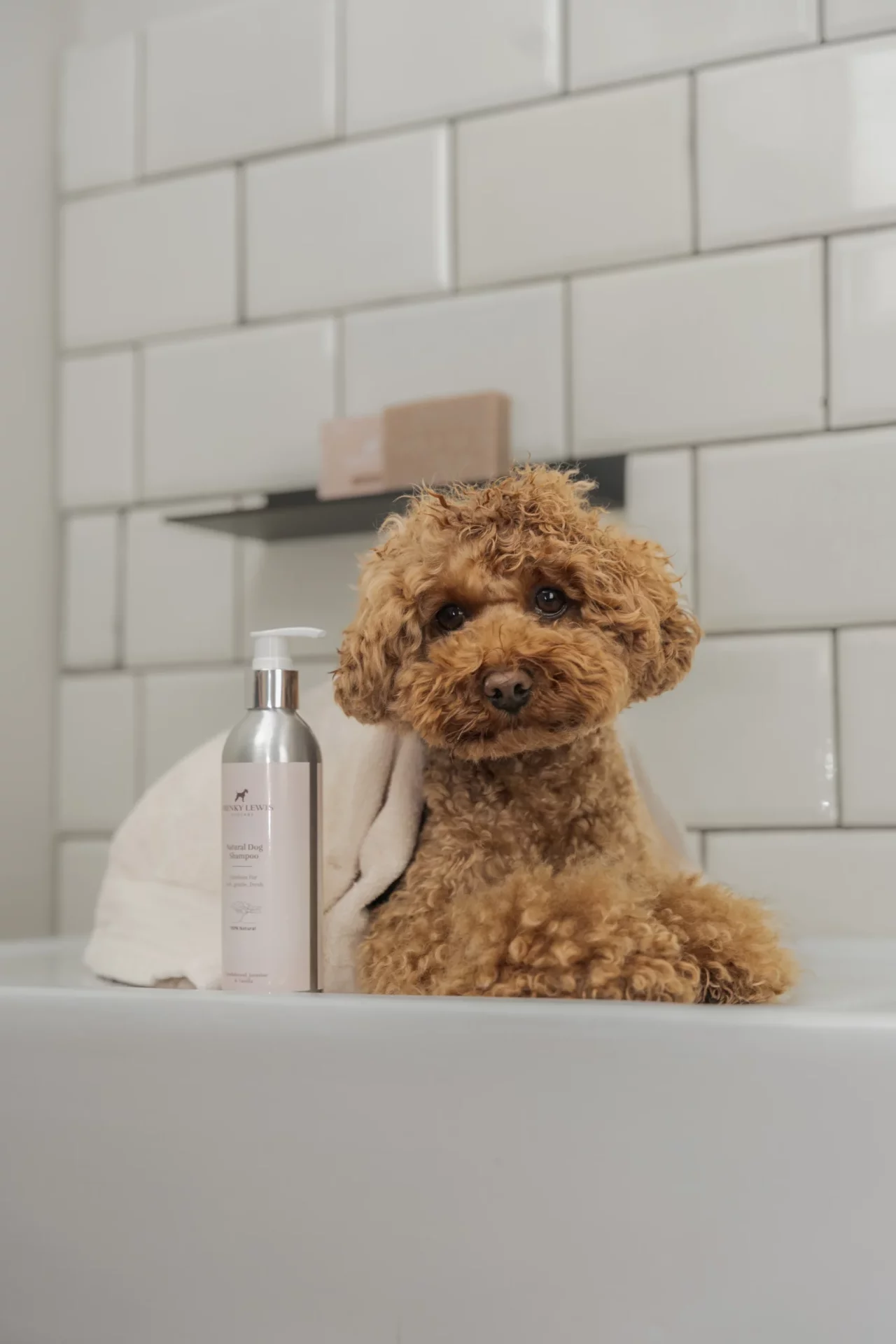 Frenky Lewis Conditioner 200ml